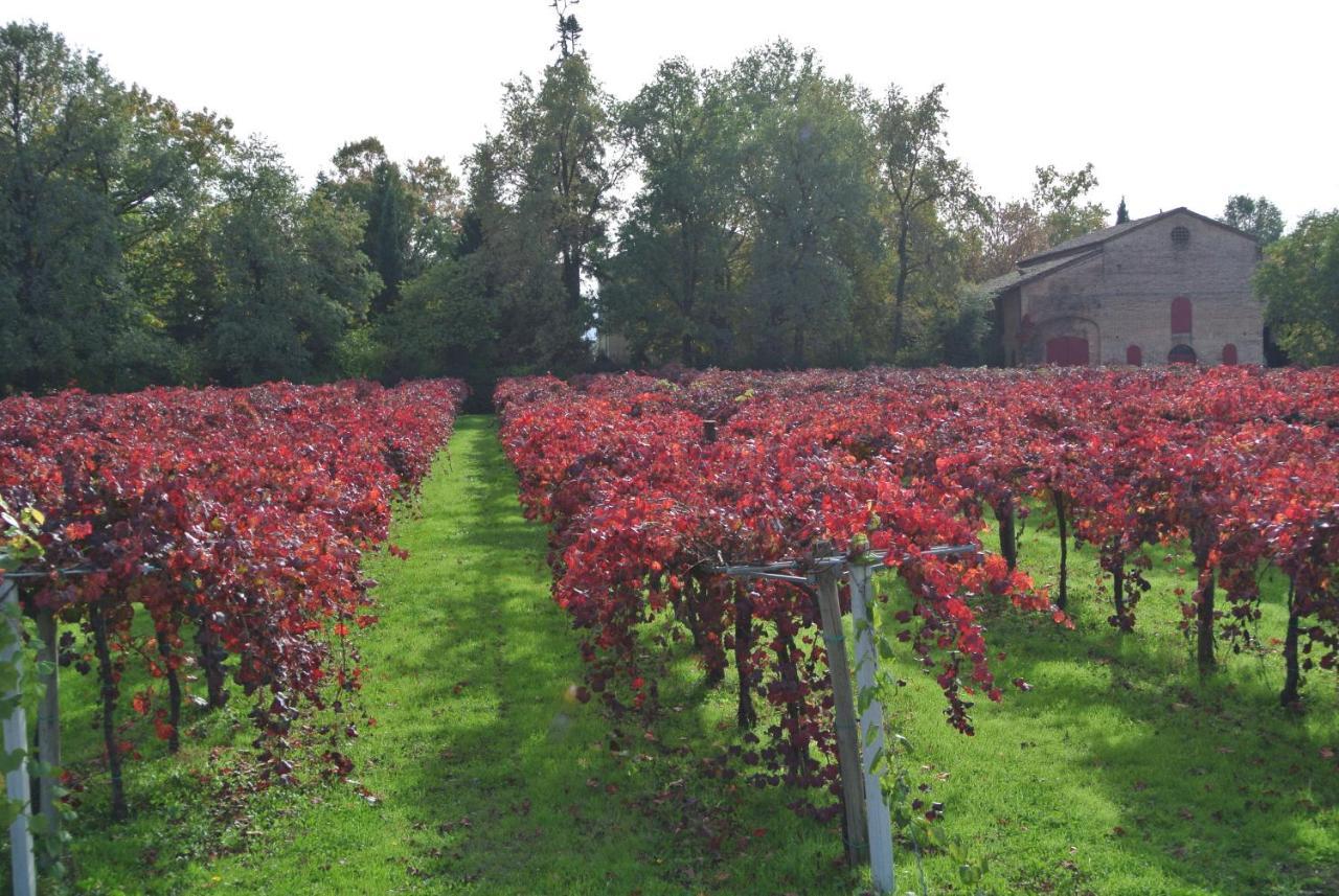 Alloggio Cantalupo Formigine Exterior photo